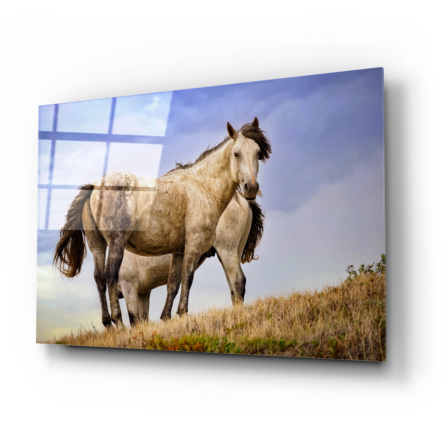 Epic Art 'Wild Horses' by Rick Berk, Acrylic Glass Wall Art,24x16