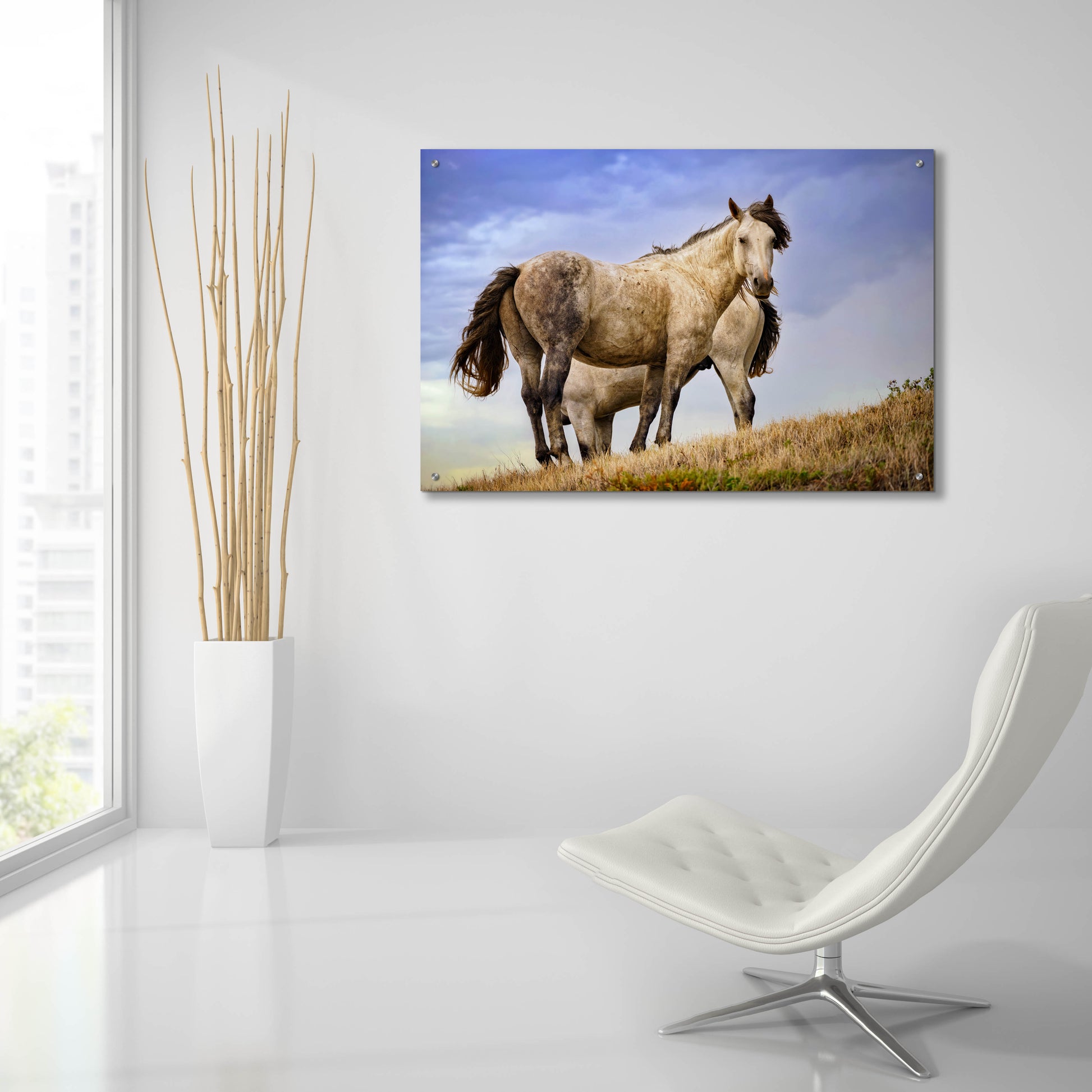 Epic Art 'Wild Horses' by Rick Berk, Acrylic Glass Wall Art,36x24