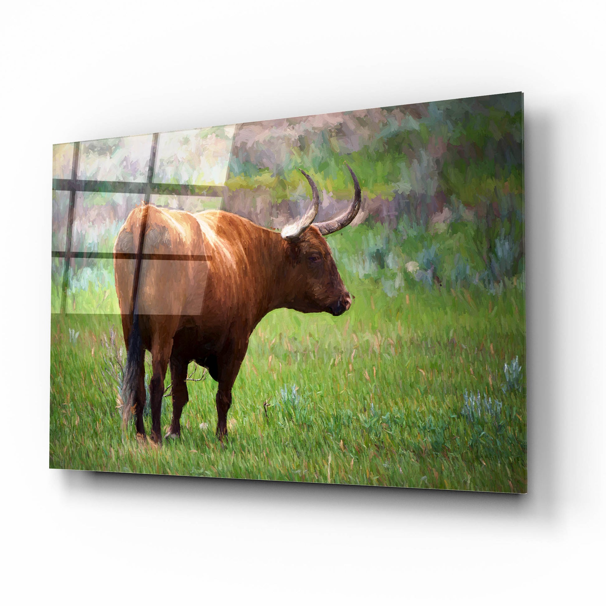 Epic Art 'Longhorn Oil Painting' by Rick Berk, Acrylic Glass Wall Art,16x12