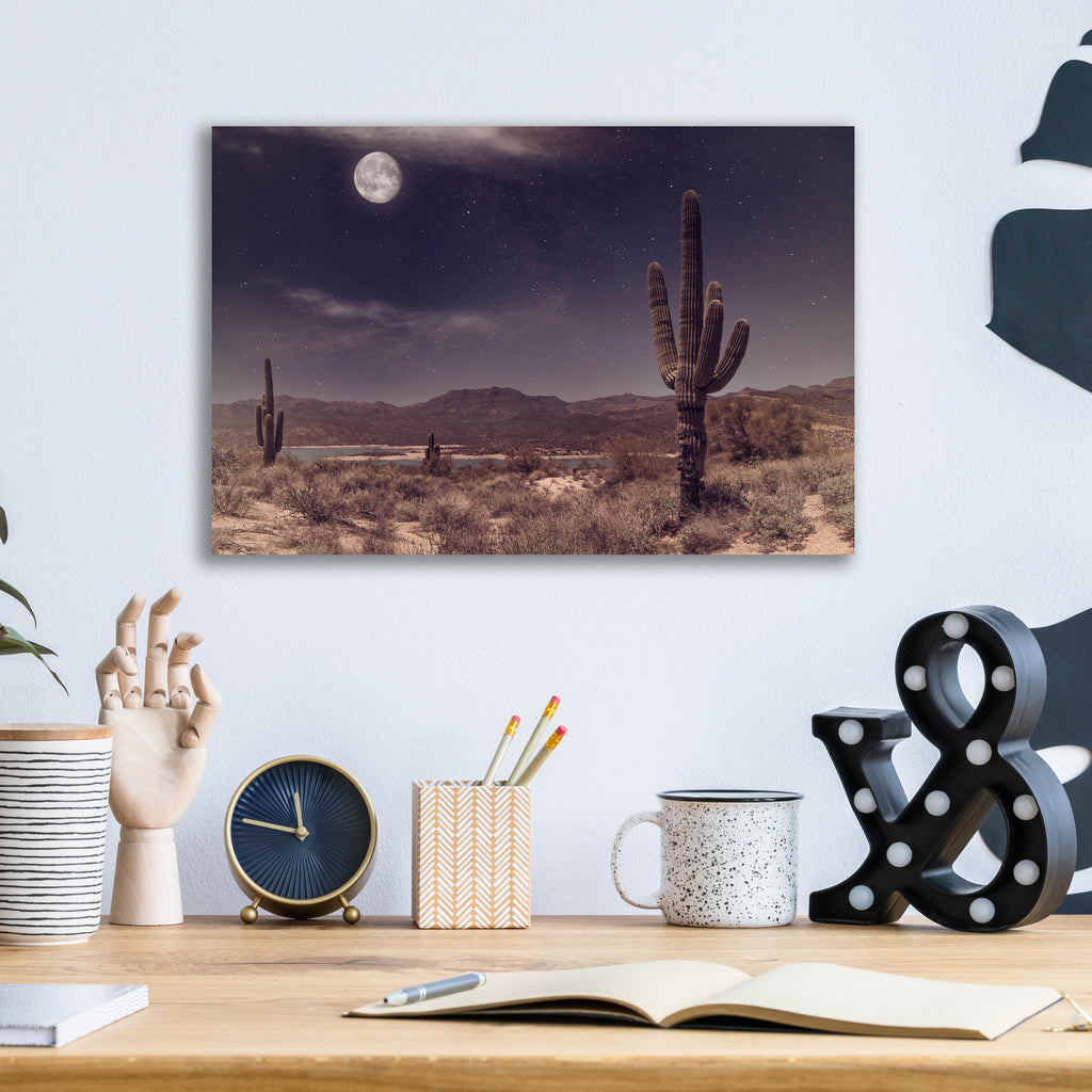 Epic Art 'Desert Moon' by Rick Berk, Acrylic Glass Wall Art,16x12