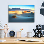 Epic Art 'Mesquite Dunes Oil Painting' by Rick Berk, Acrylic Glass Wall Art,16x12