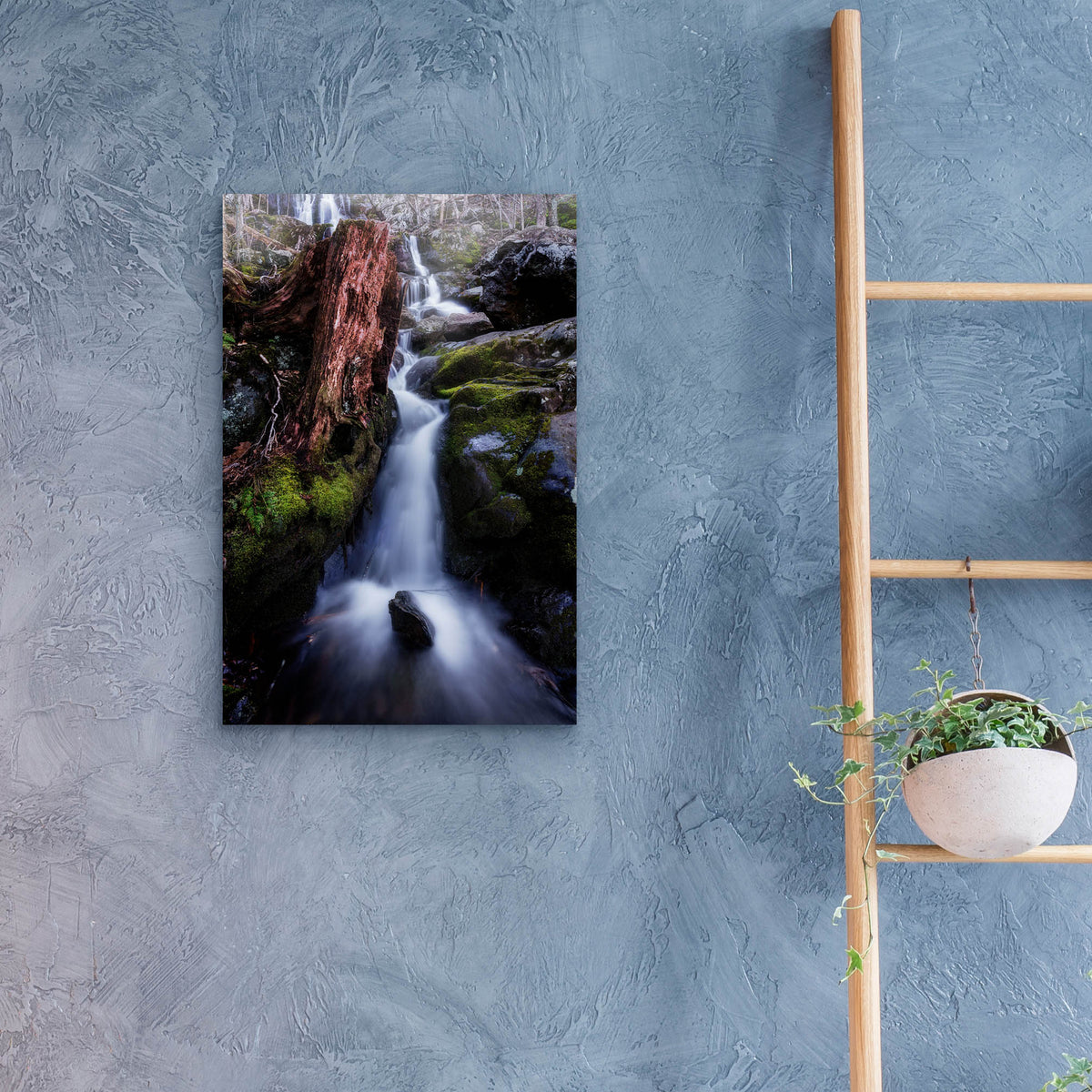 Epic Art 'In The Hollow' by Rick Berk, Acrylic Glass Wall Art,16x24