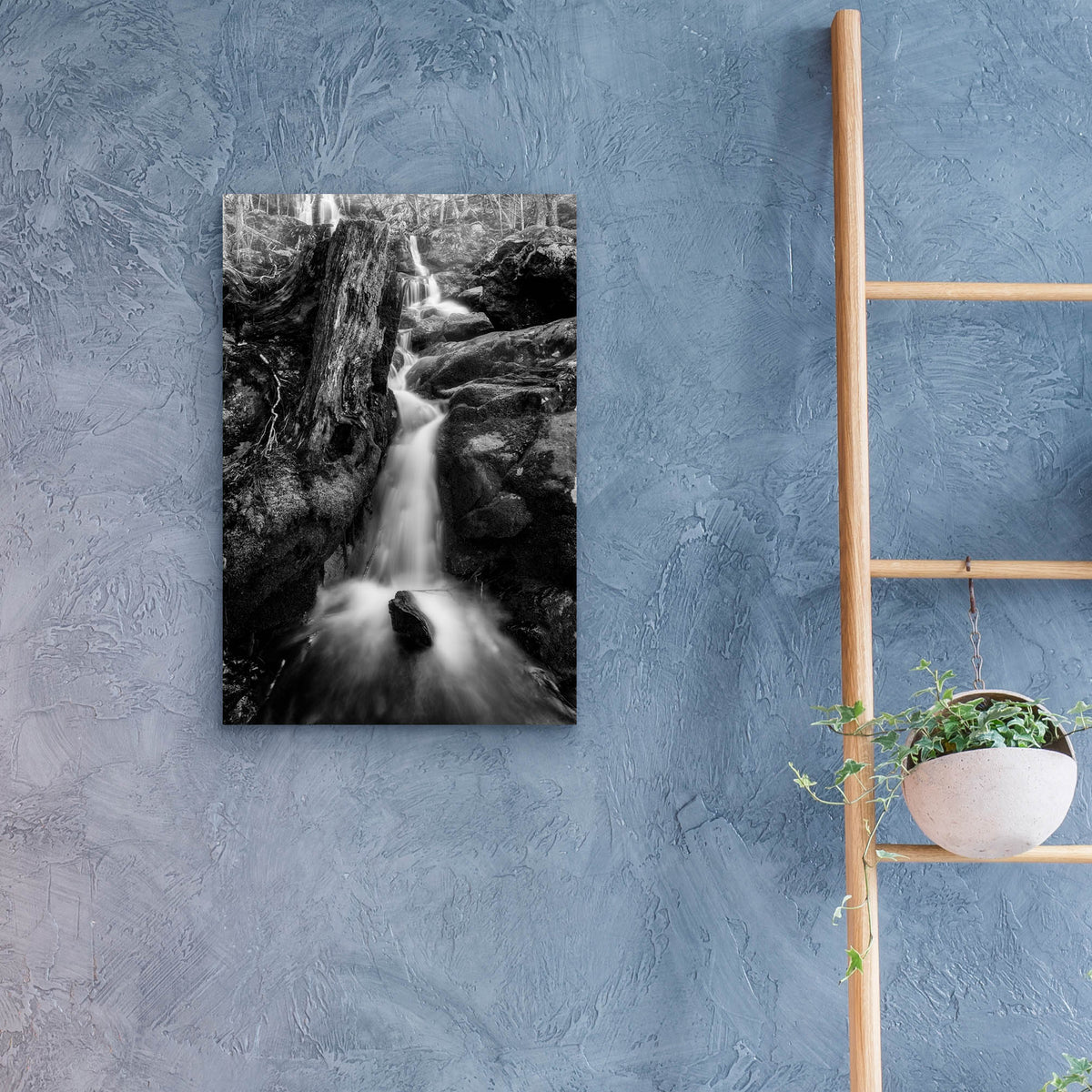 Epic Art 'In The Hollow BW' by Rick Berk, Acrylic Glass Wall Art,16x24