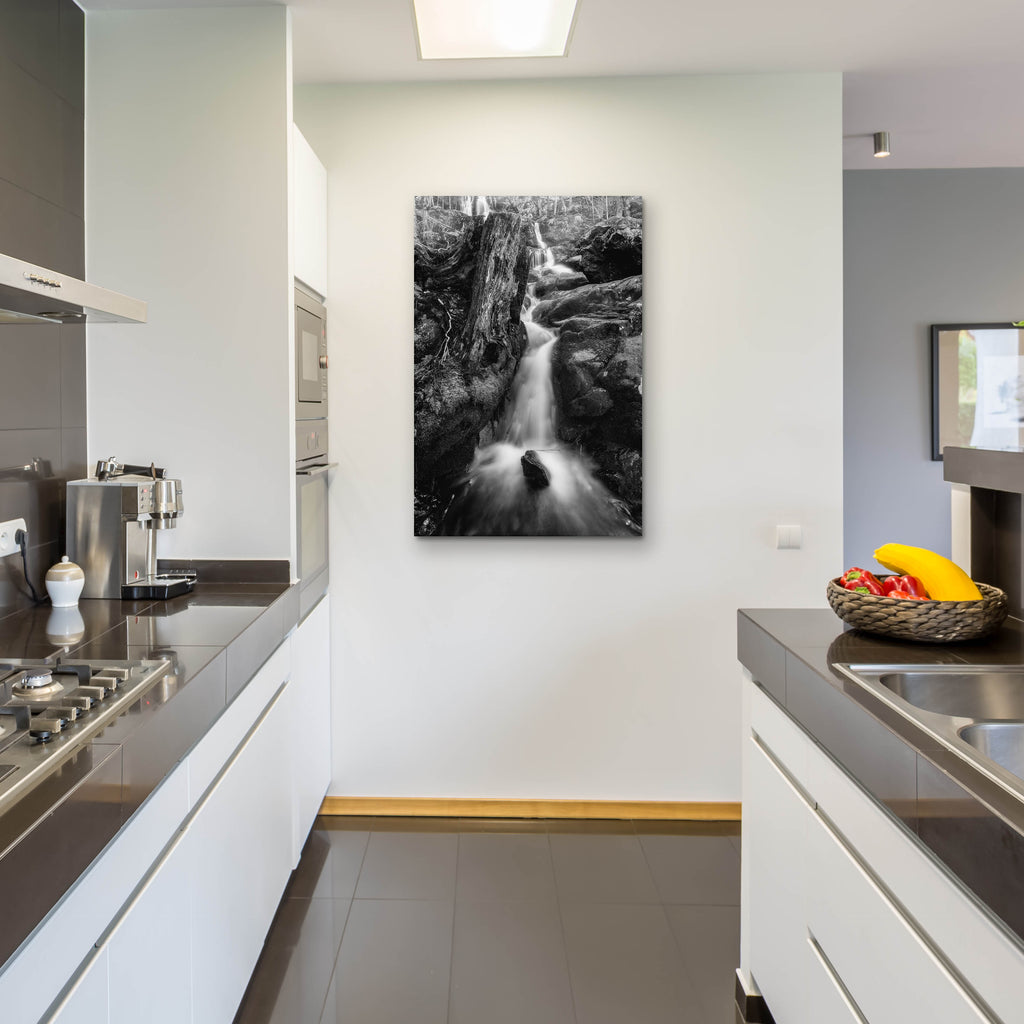 Epic Art 'In The Hollow BW' by Rick Berk, Acrylic Glass Wall Art,24x36
