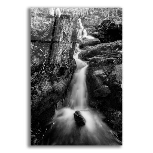 Epic Art 'In The Hollow BW' by Rick Berk, Acrylic Glass Wall Art