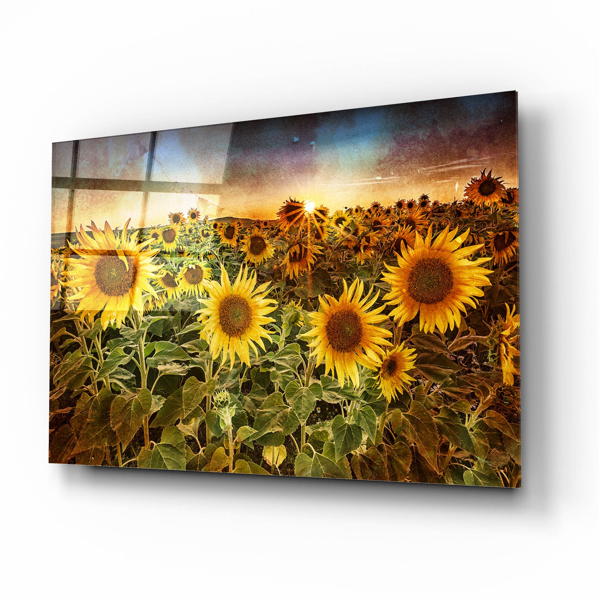 Epic Art 'Aroostook Sunsetre' by Rick Berk, Acrylic Glass Wall Art,16x12