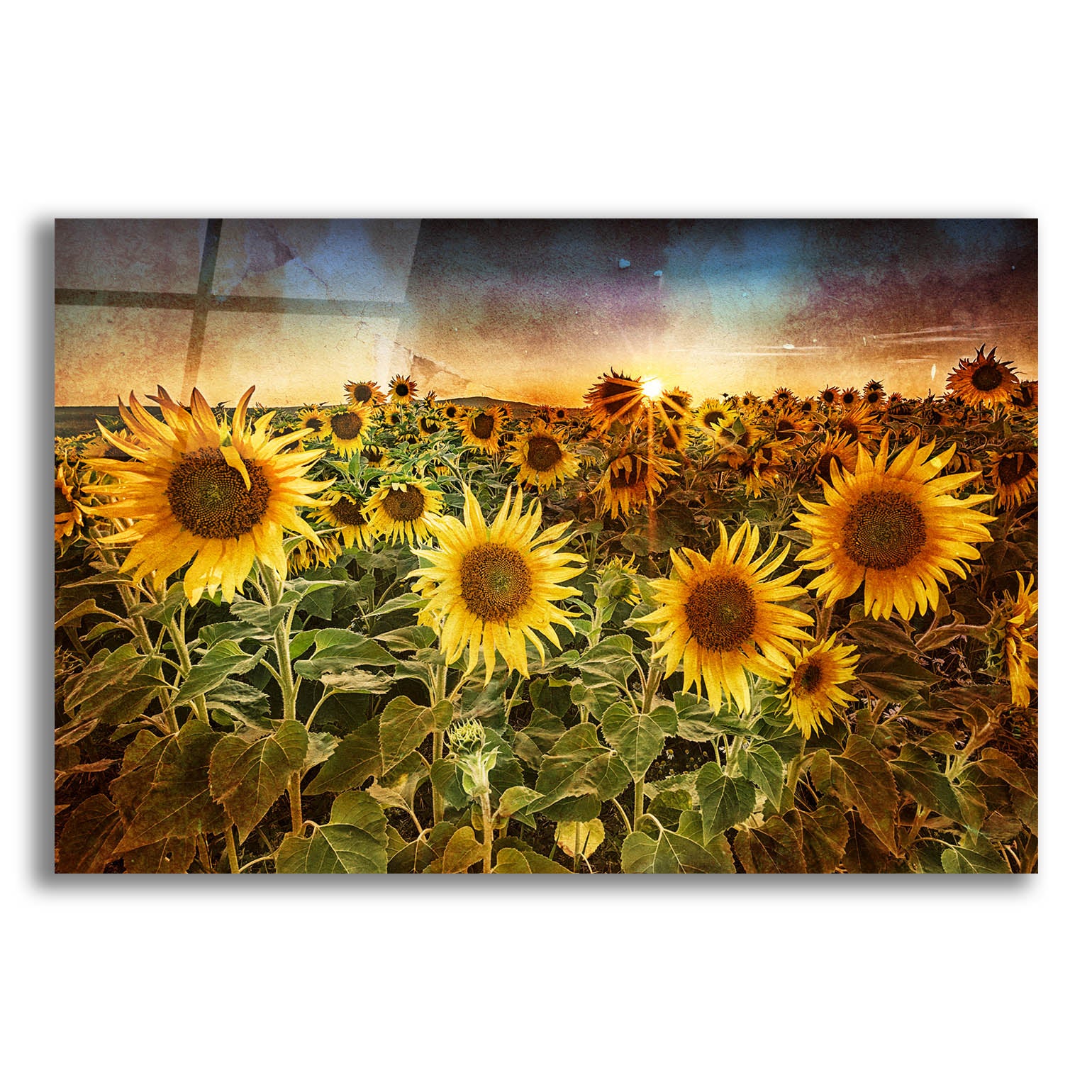 Epic Art 'Aroostook Sunsetre' by Rick Berk, Acrylic Glass Wall Art,24x16