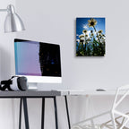 Epic Art 'Reach For The Sky' by Rick Berk, Acrylic Glass Wall Art,12x16