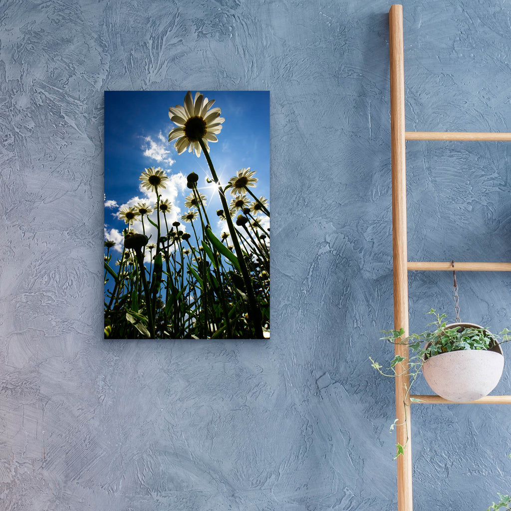 Epic Art 'Reach For The Sky' by Rick Berk, Acrylic Glass Wall Art,16x24