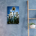 Epic Art 'Reach For The Sky' by Rick Berk, Acrylic Glass Wall Art,16x24