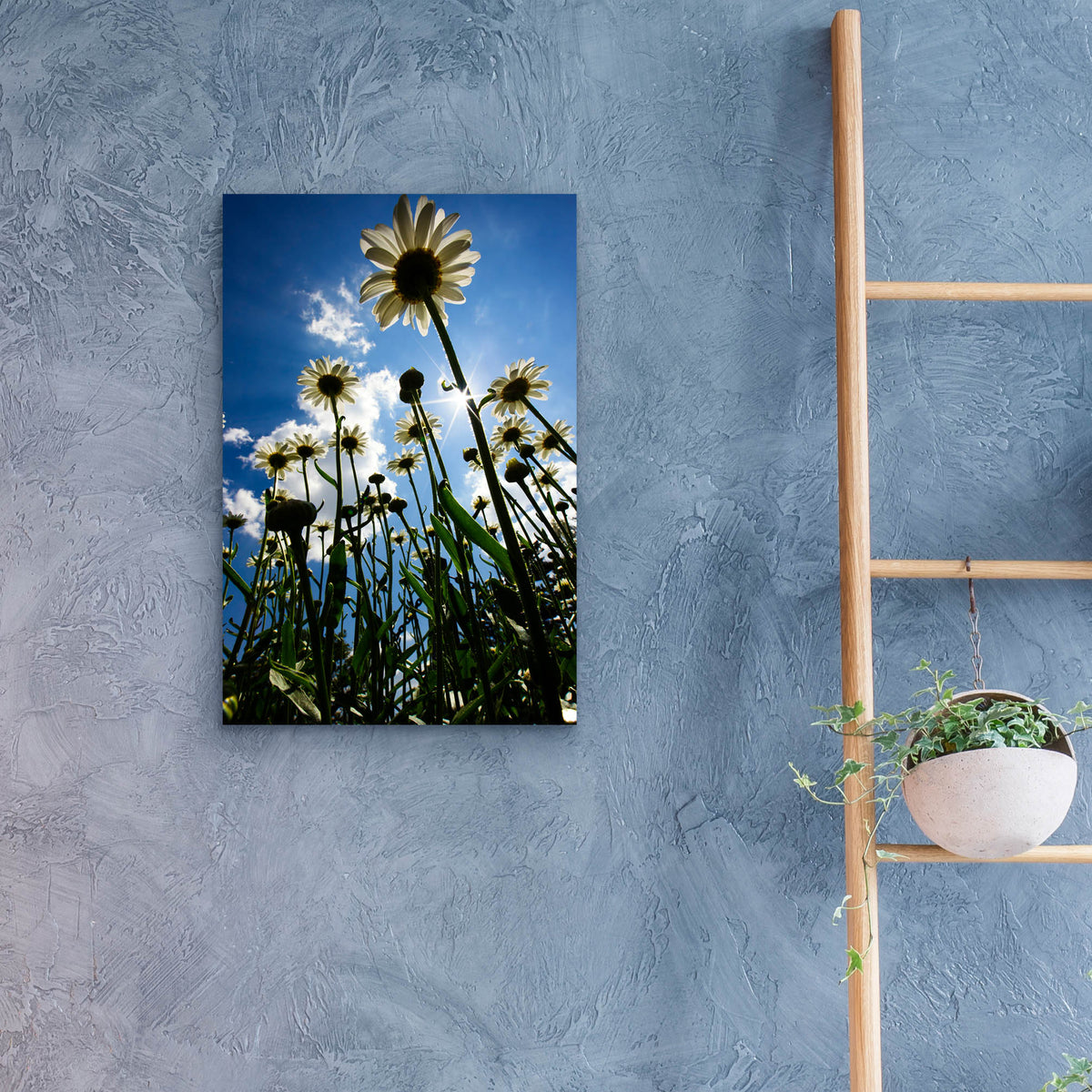 Epic Art 'Reach For The Sky' by Rick Berk, Acrylic Glass Wall Art,16x24