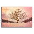 Epic Art 'Winter Evening at Cloudland Farmred' by Rick Berk, Acrylic Glass Wall Art