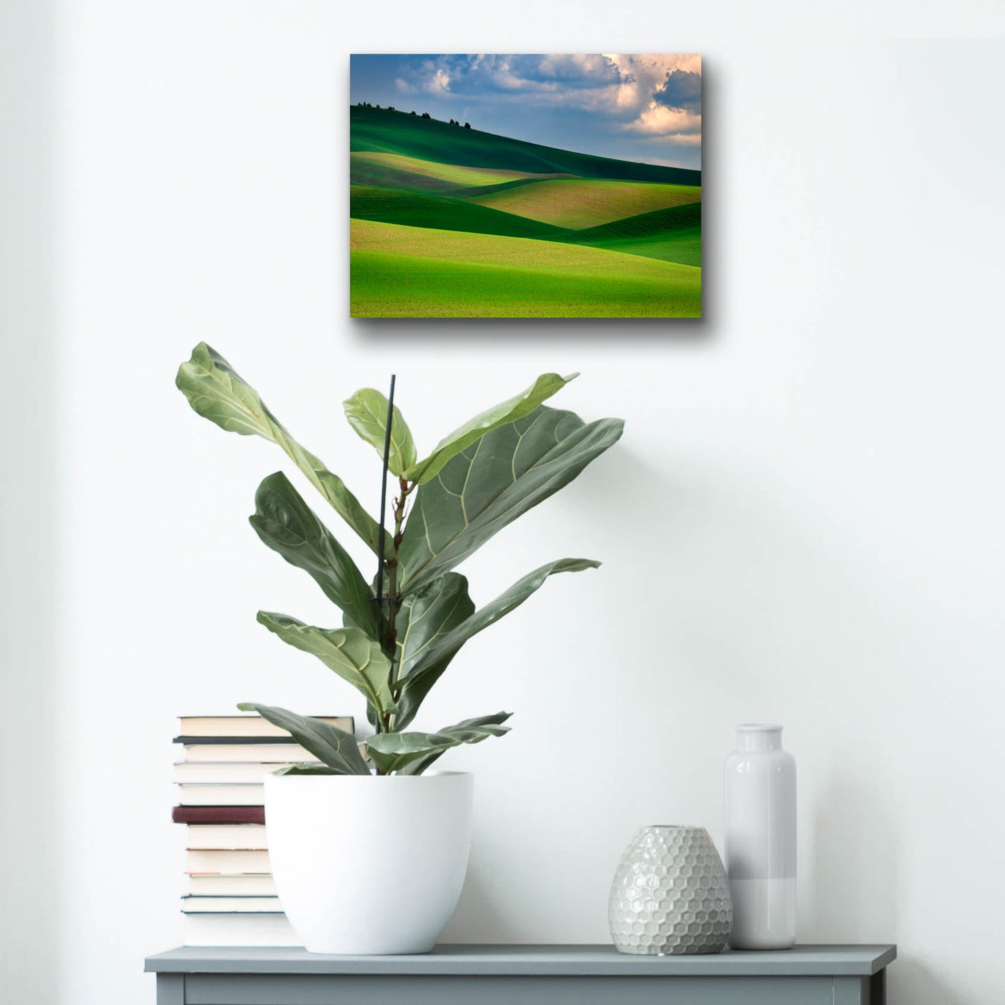 Epic Art 'The Palouse in Light and Shadow' by Rick Berk, Acrylic Glass Wall Art,16x12