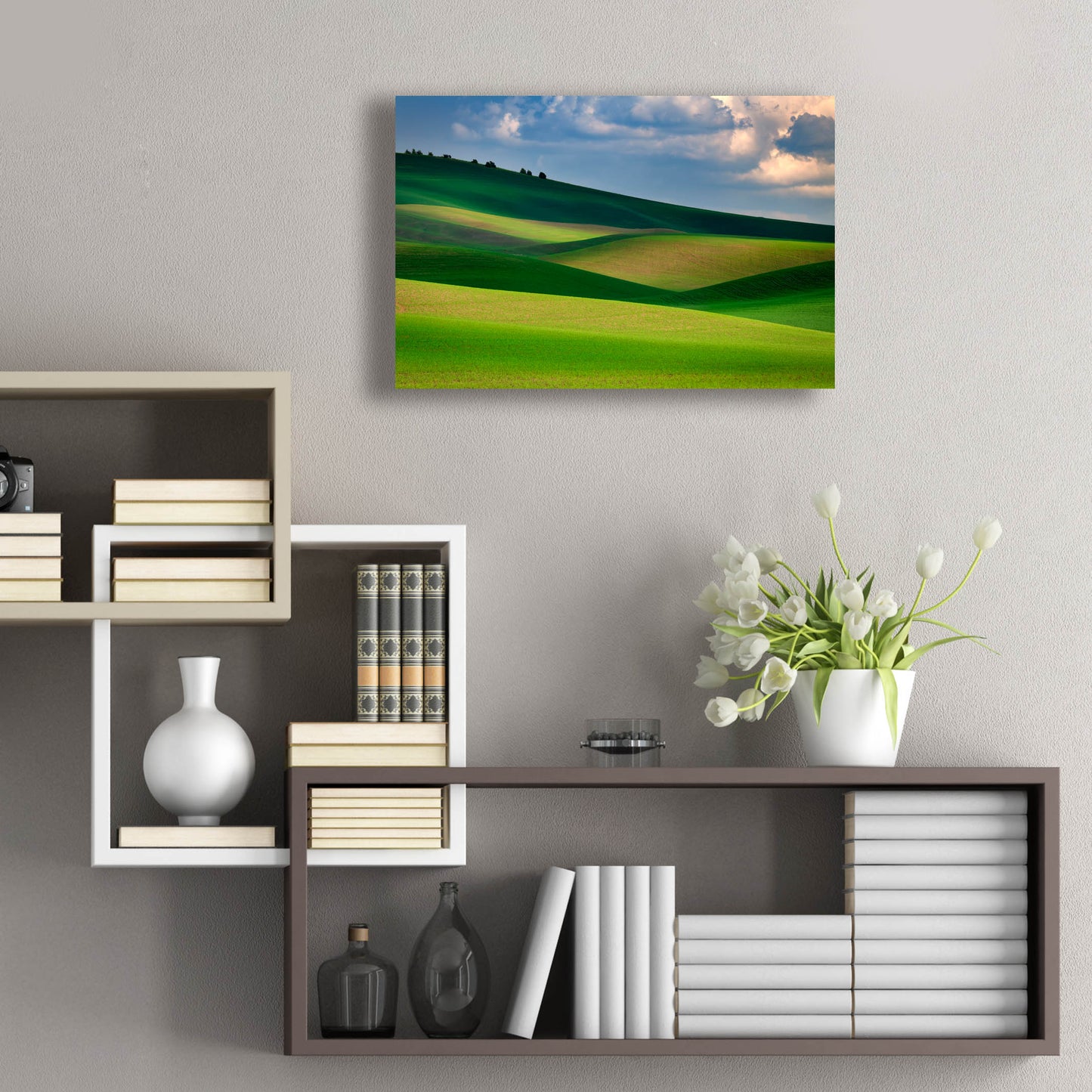 Epic Art 'The Palouse in Light and Shadow' by Rick Berk, Acrylic Glass Wall Art,24x16