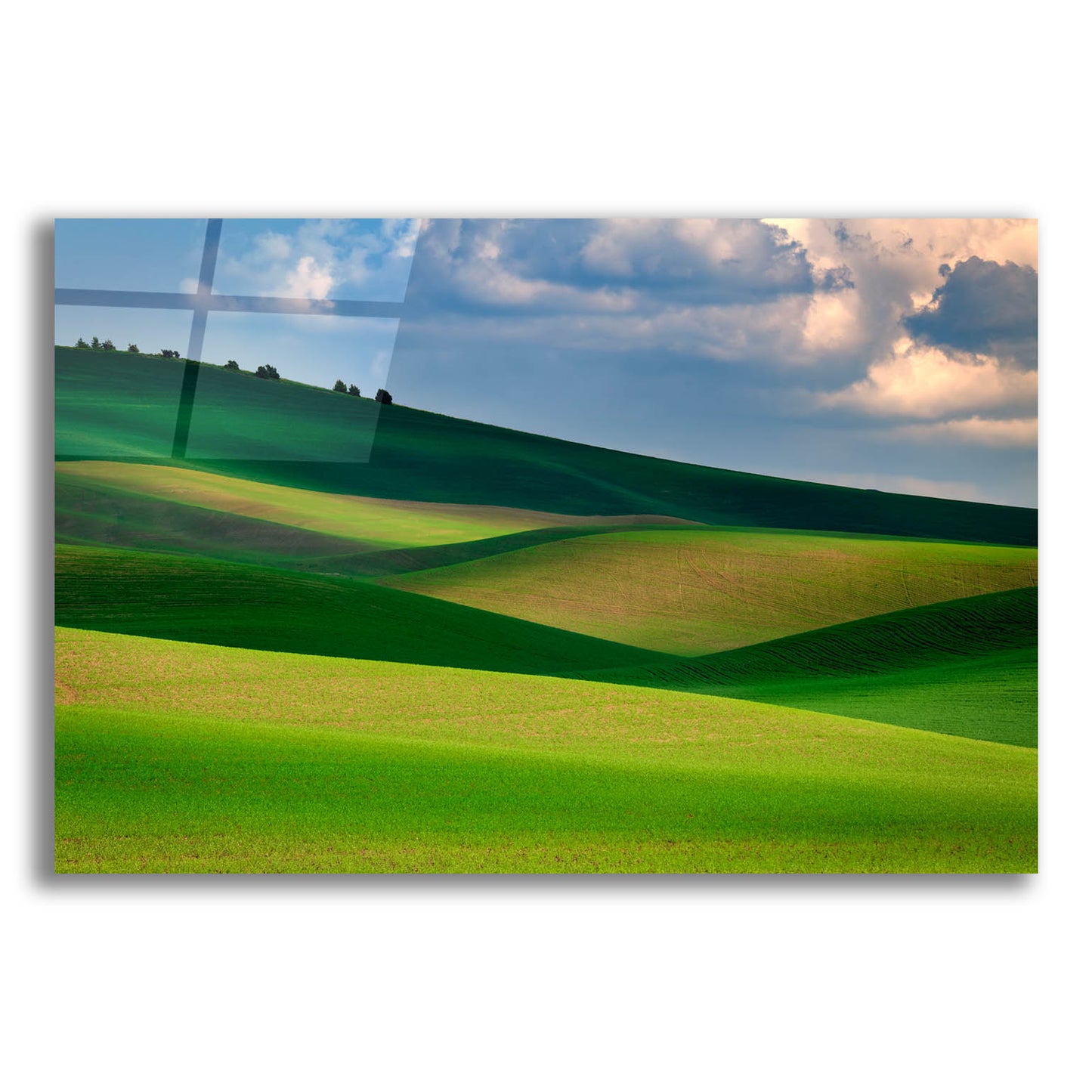 Epic Art 'The Palouse in Light and Shadow' by Rick Berk, Acrylic Glass Wall Art,24x16