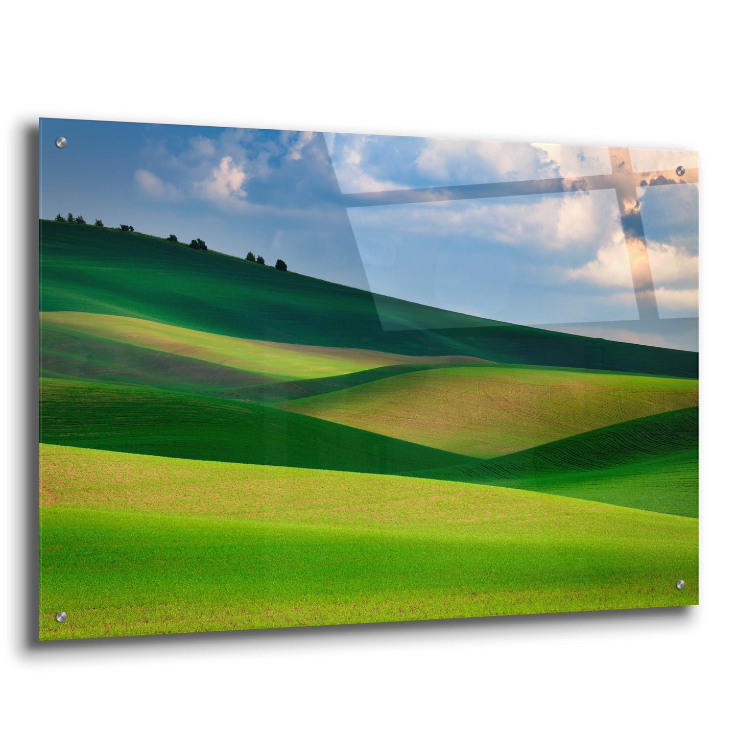 Epic Art 'The Palouse in Light and Shadow' by Rick Berk, Acrylic Glass Wall Art,36x24