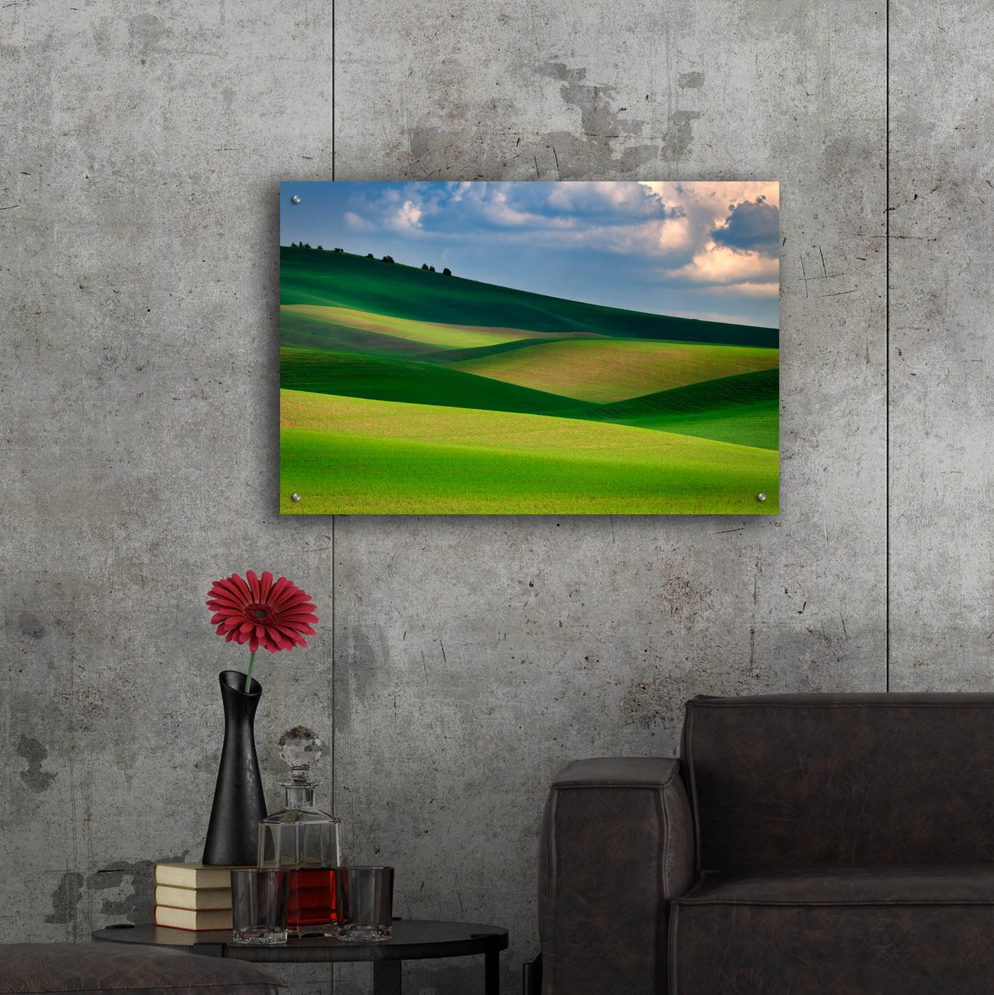 Epic Art 'The Palouse in Light and Shadow' by Rick Berk, Acrylic Glass Wall Art,36x24