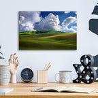 Epic Art 'Afternoon Bliss in the Palouse' by Rick Berk, Acrylic Glass Wall Art,16x12