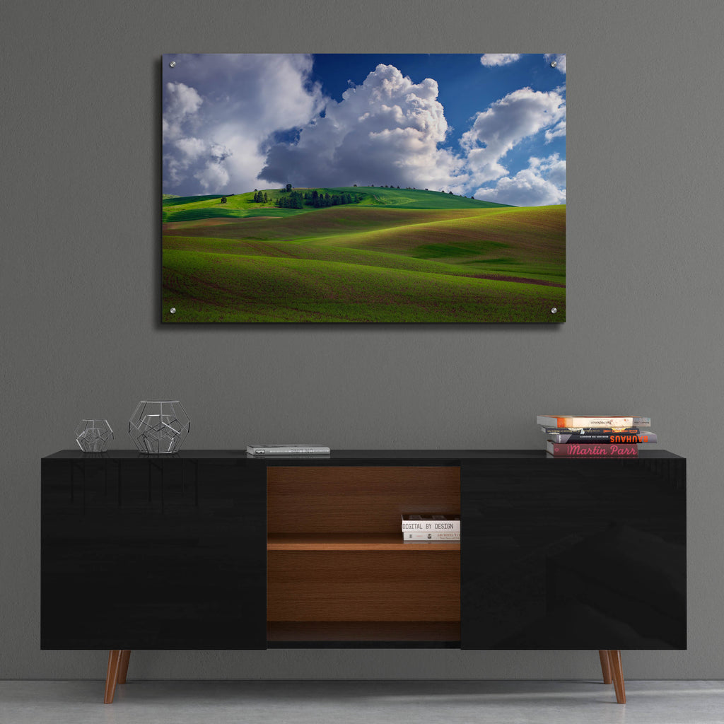 Epic Art 'Afternoon Bliss in the Palouse' by Rick Berk, Acrylic Glass Wall Art,36x24