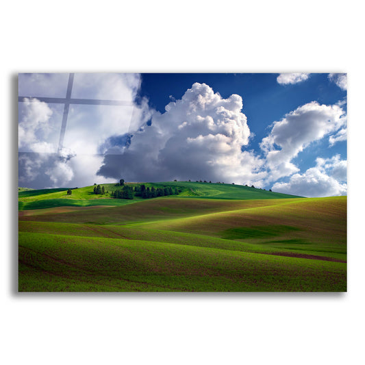 Epic Art 'Afternoon Bliss in the Palouse' by Rick Berk, Acrylic Glass Wall Art