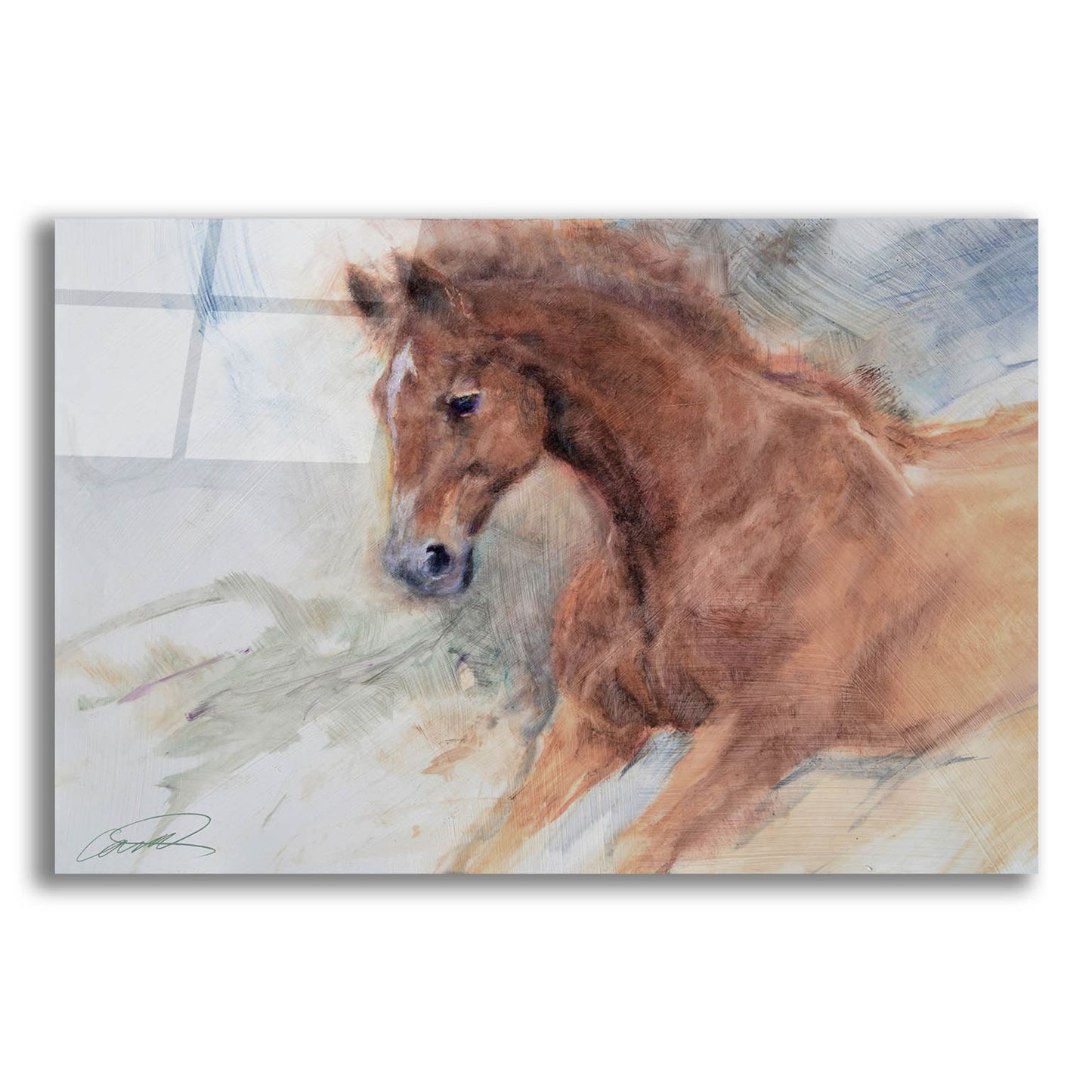 Epic Art 'Equine Exercise' by Robert Campbell, Acrylic Glass Wall Art