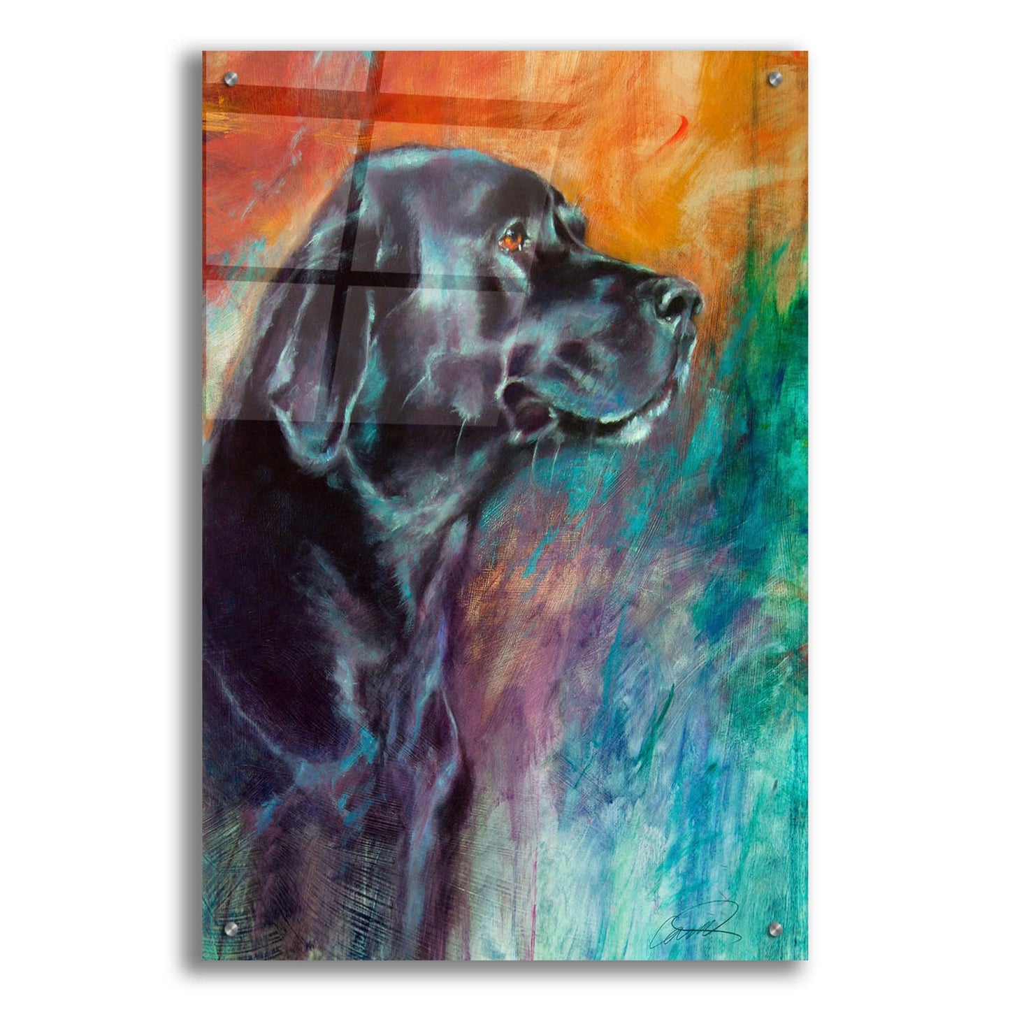 Epic Art 'Rainbow Retriever' by Robert Campbell, Acrylic Glass Wall Art