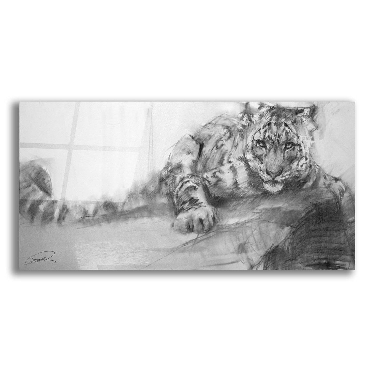 Epic Art 'Snow Leopard reclining sketch' by Robert Campbell, Acrylic Glass Wall Art