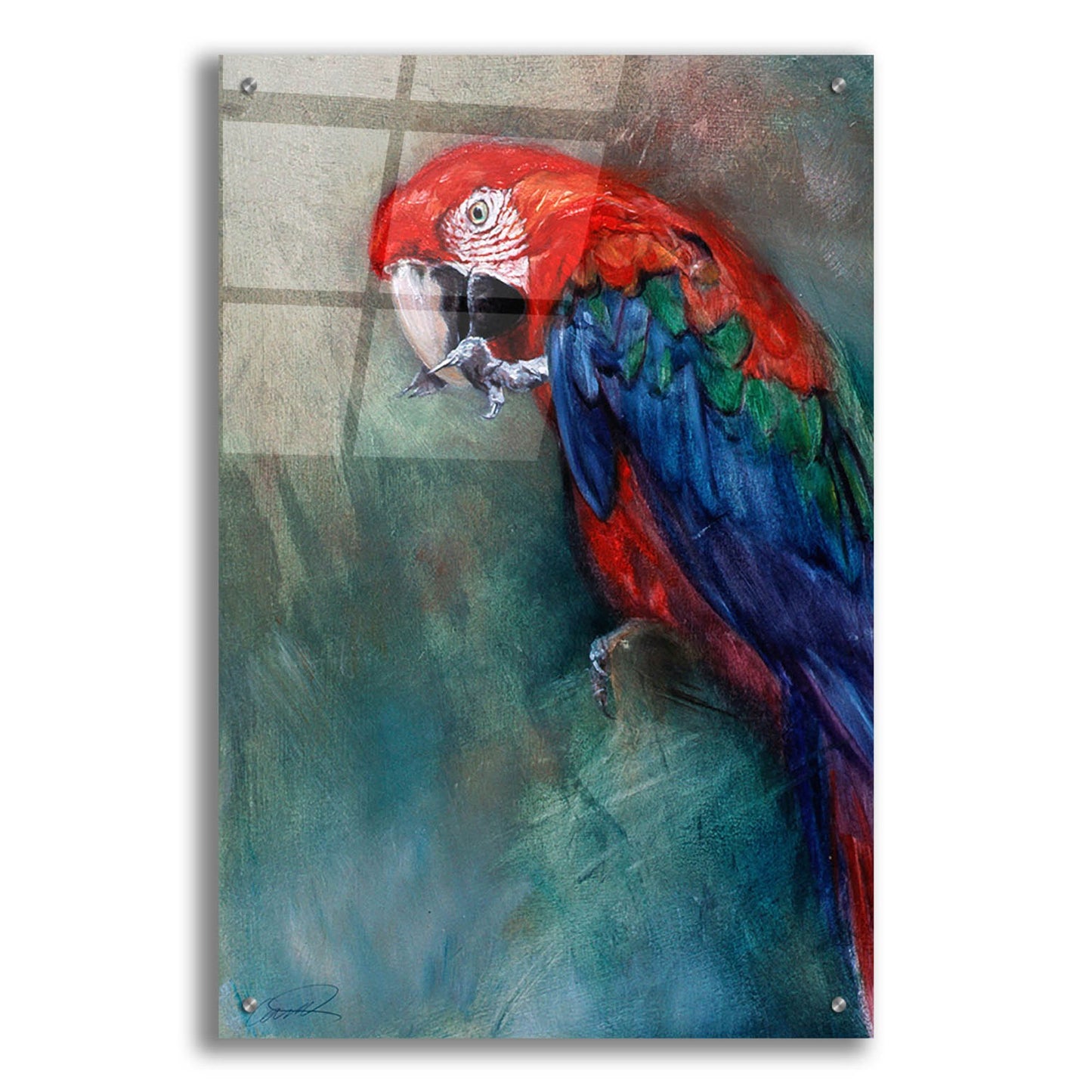 Epic Art 'Aw Macaw' by Robert Campbell, Acrylic Glass Wall Art