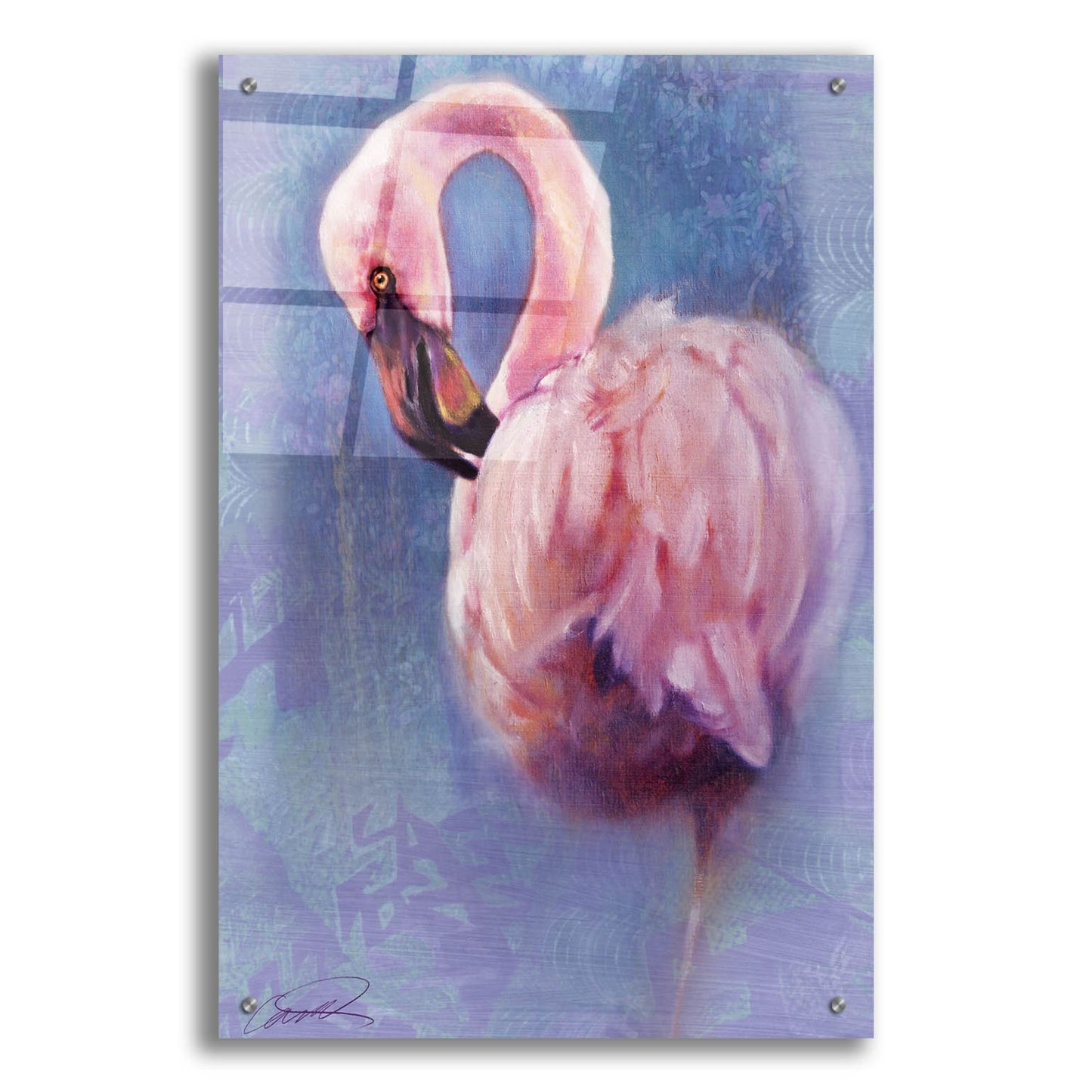 Epic Art 'Pretty in Pink Flamingo' by Robert Campbell, Acrylic Glass Wall Art