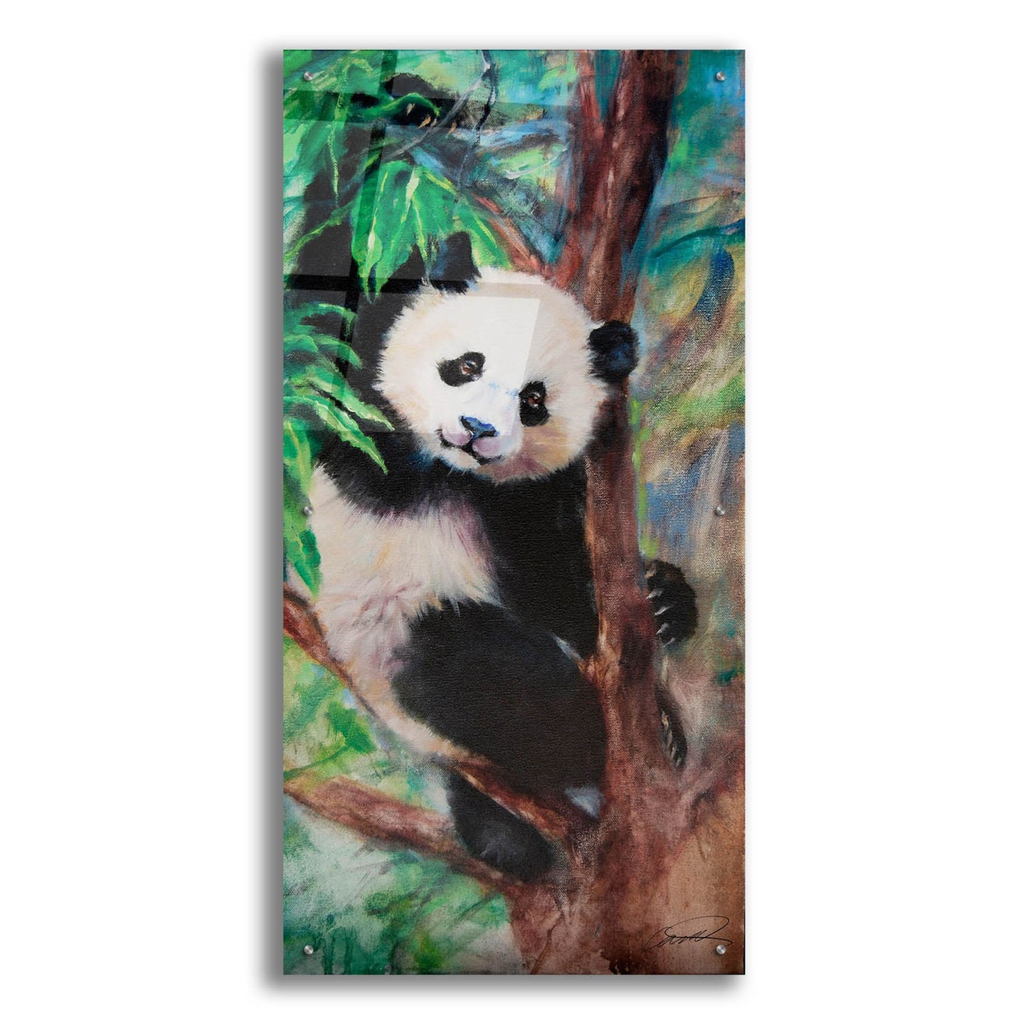 Epic Art 'Panda Playtime' by Robert Campbell, Acrylic Glass Wall Art