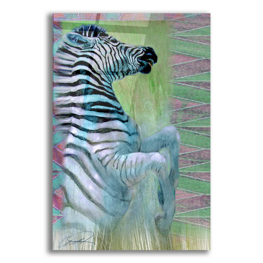 Epic Art 'Zebra Zest' by Robert Campbell, Acrylic Glass Wall Art