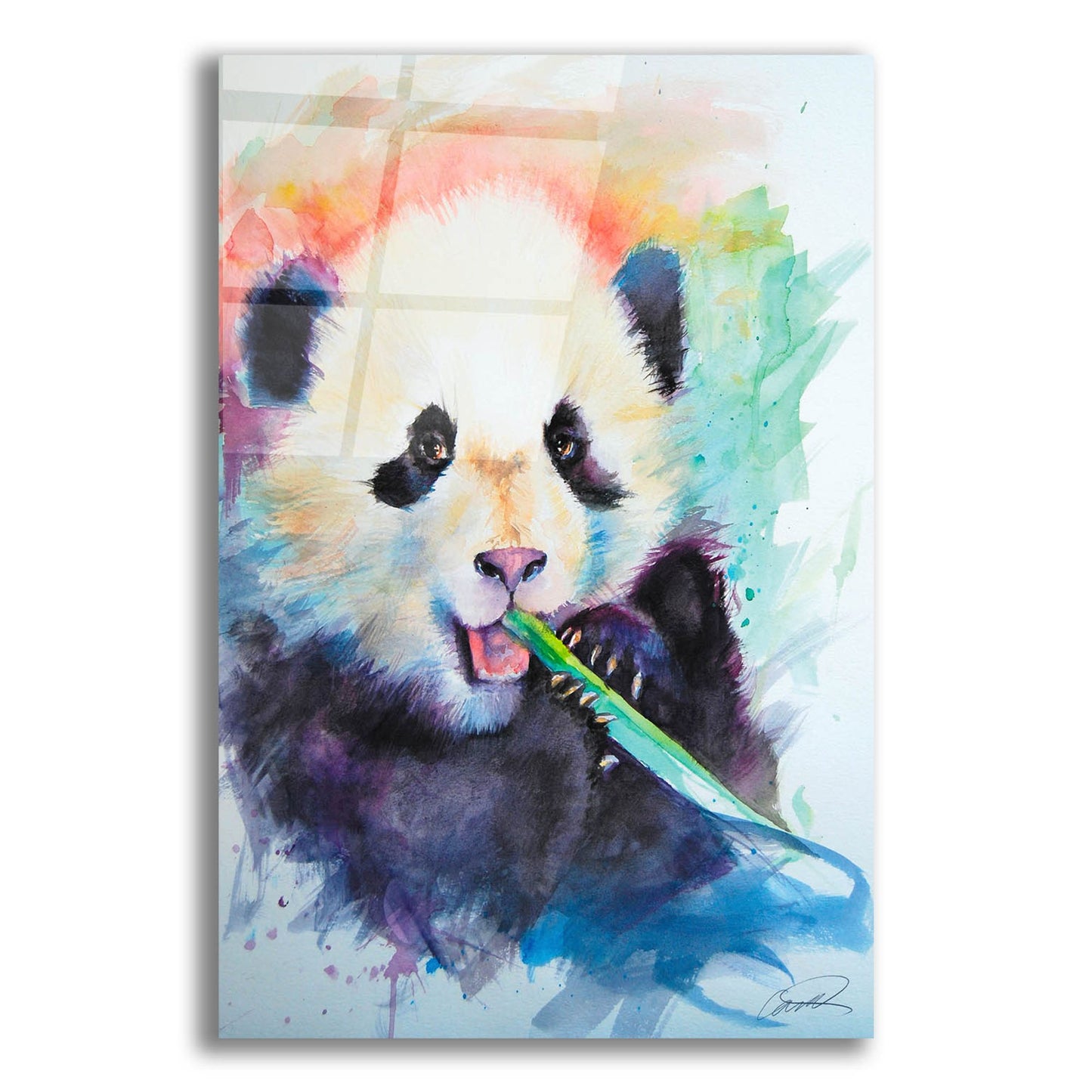 Epic Art 'Panda Party' by Robert Campbell, Acrylic Glass Wall Art