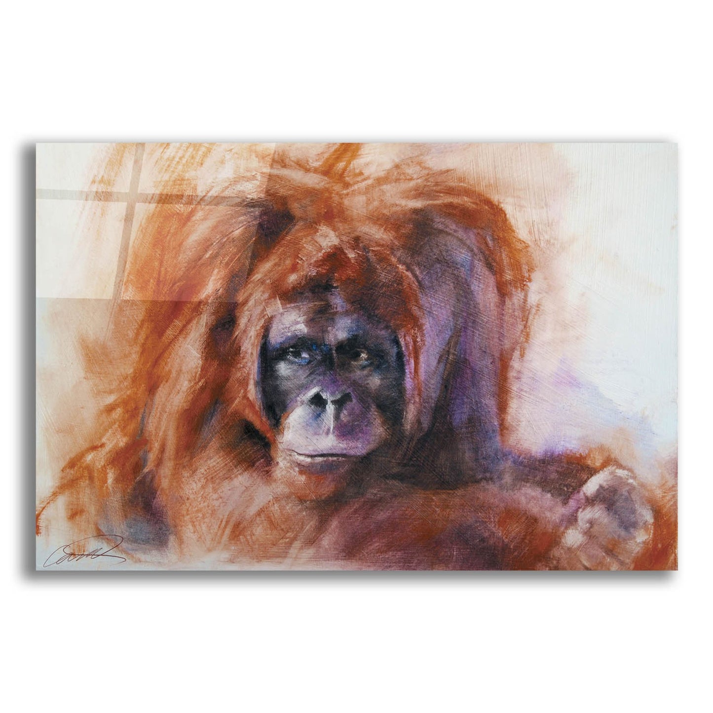 Epic Art 'The Daydreamer Orangutan' by Robert Campbell, Acrylic Glass Wall Art