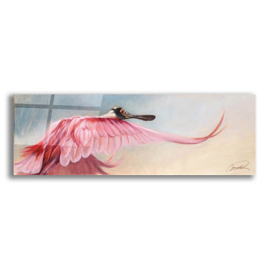 Epic Art 'Wingspread Spoonbill' by Robert Campbell, Acrylic Glass Wall Art