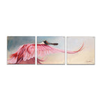 Epic Art 'Wingspread Spoonbill' by Robert Campbell, Acrylic Glass Wall Art, 3 Piece Set