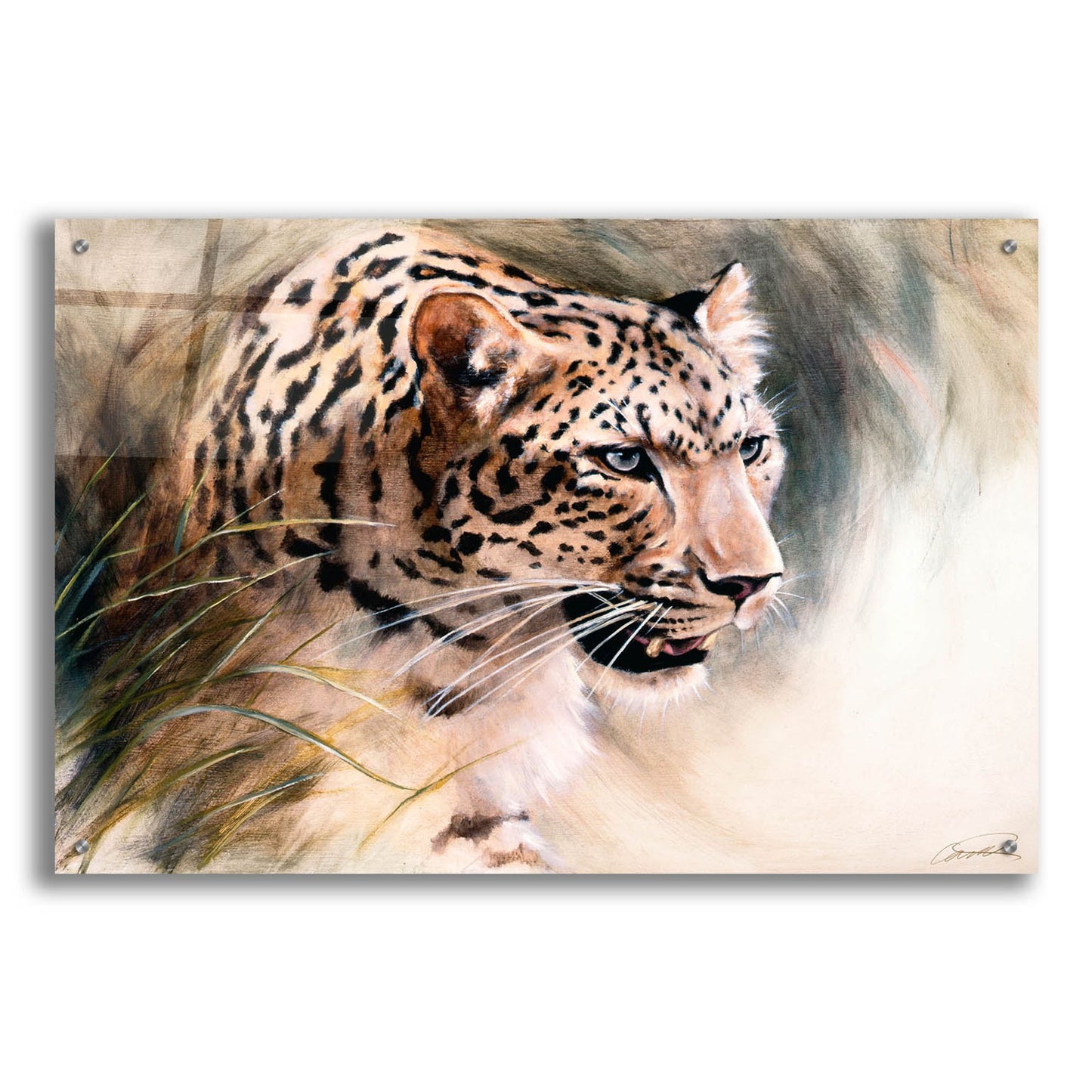 Epic Art 'Leopard's Lair' by Robert Campbell, Acrylic Glass Wall Art