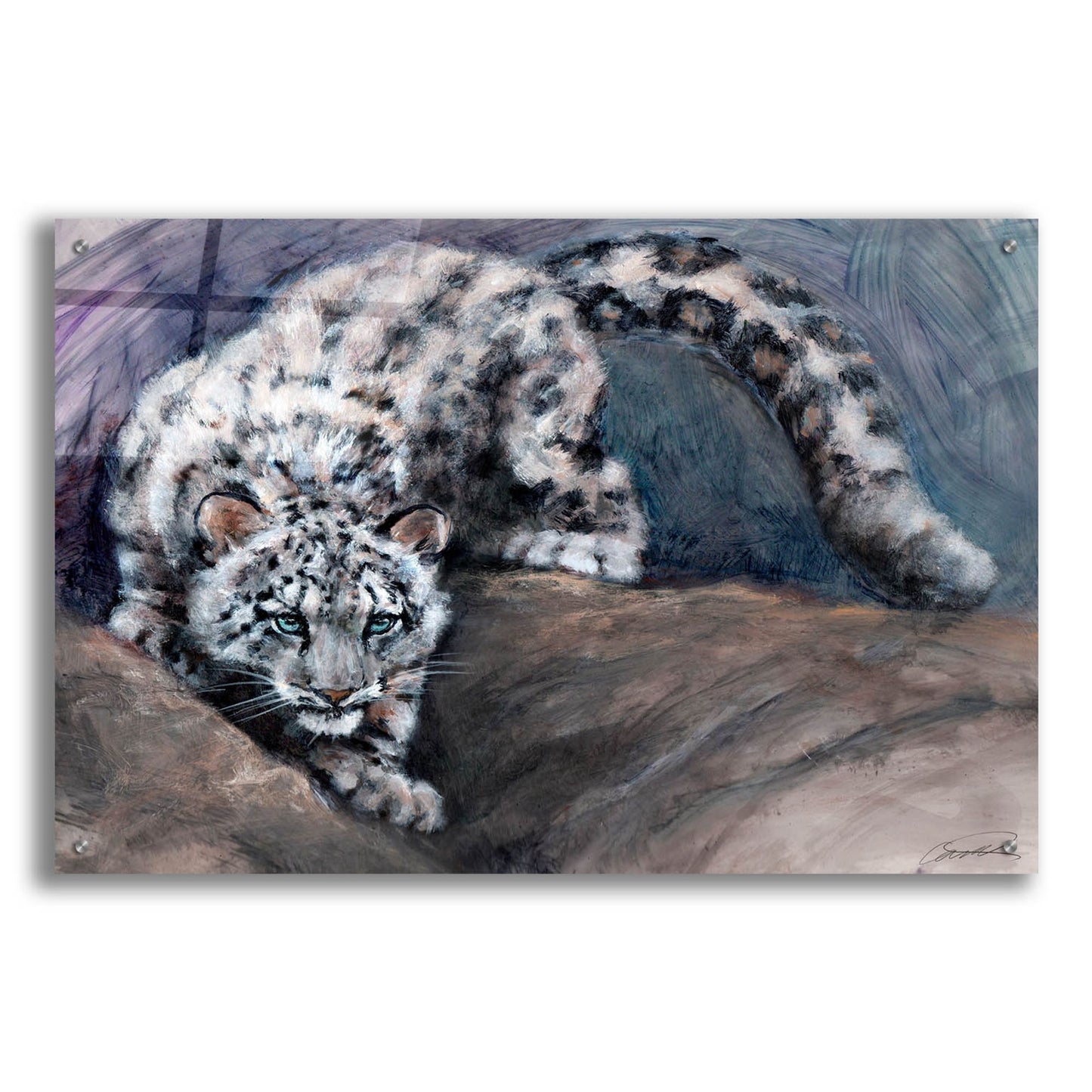 Epic Art 'Stalking Snow Leopard Cub' by Robert Campbell, Acrylic Glass Wall Art