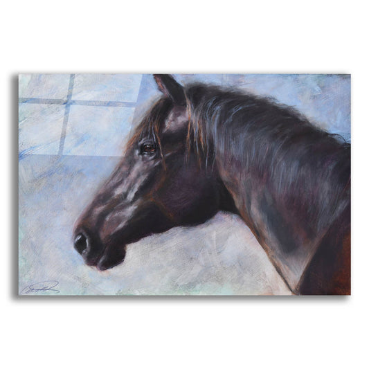 Epic Art 'Equine Encounter' by Robert Campbell, Acrylic Glass Wall Art