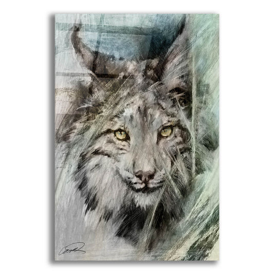 Epic Art 'Lynx brushstroke' by Robert Campbell, Acrylic Glass Wall Art