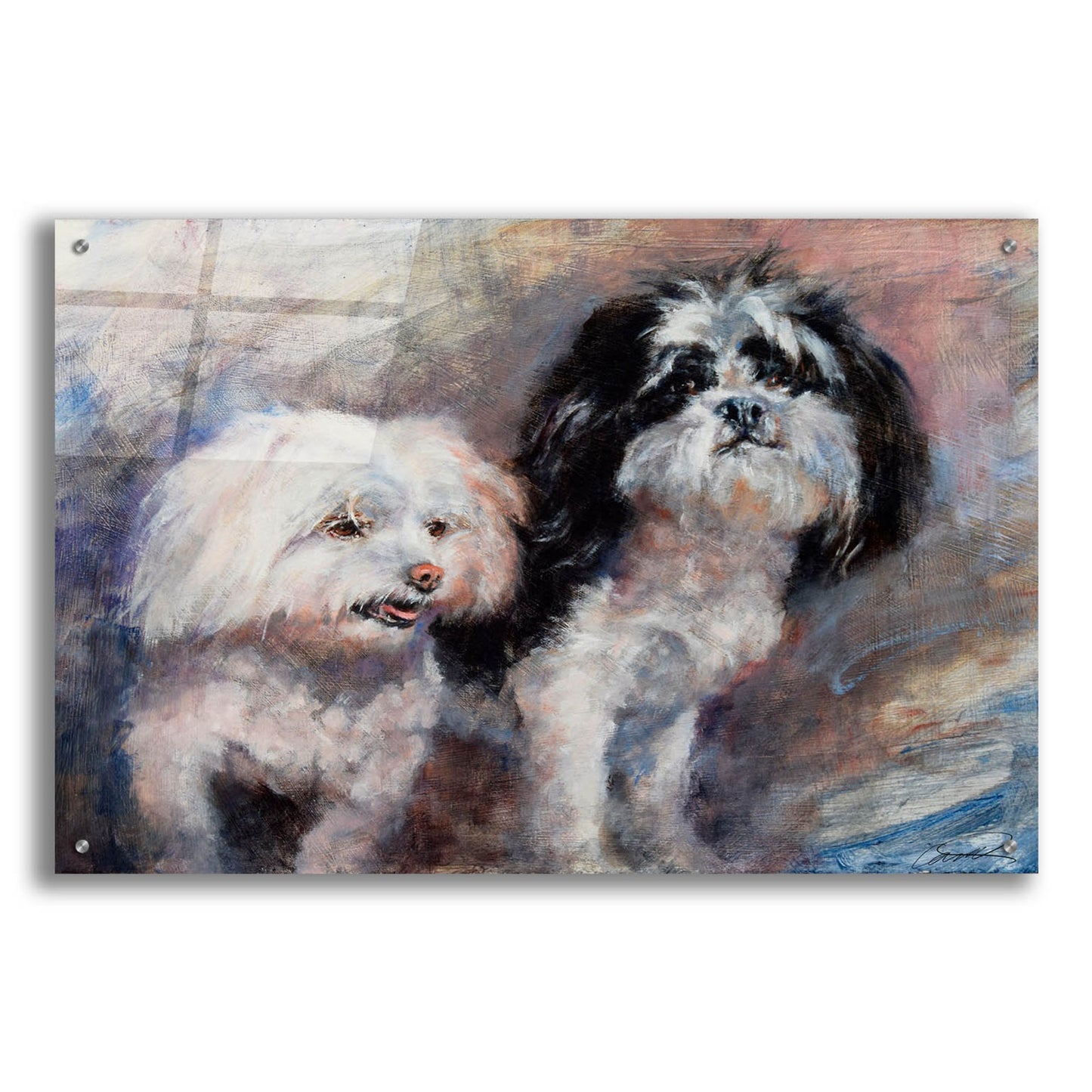 Epic Art 'Fuzzy Friends' by Robert Campbell, Acrylic Glass Wall Art