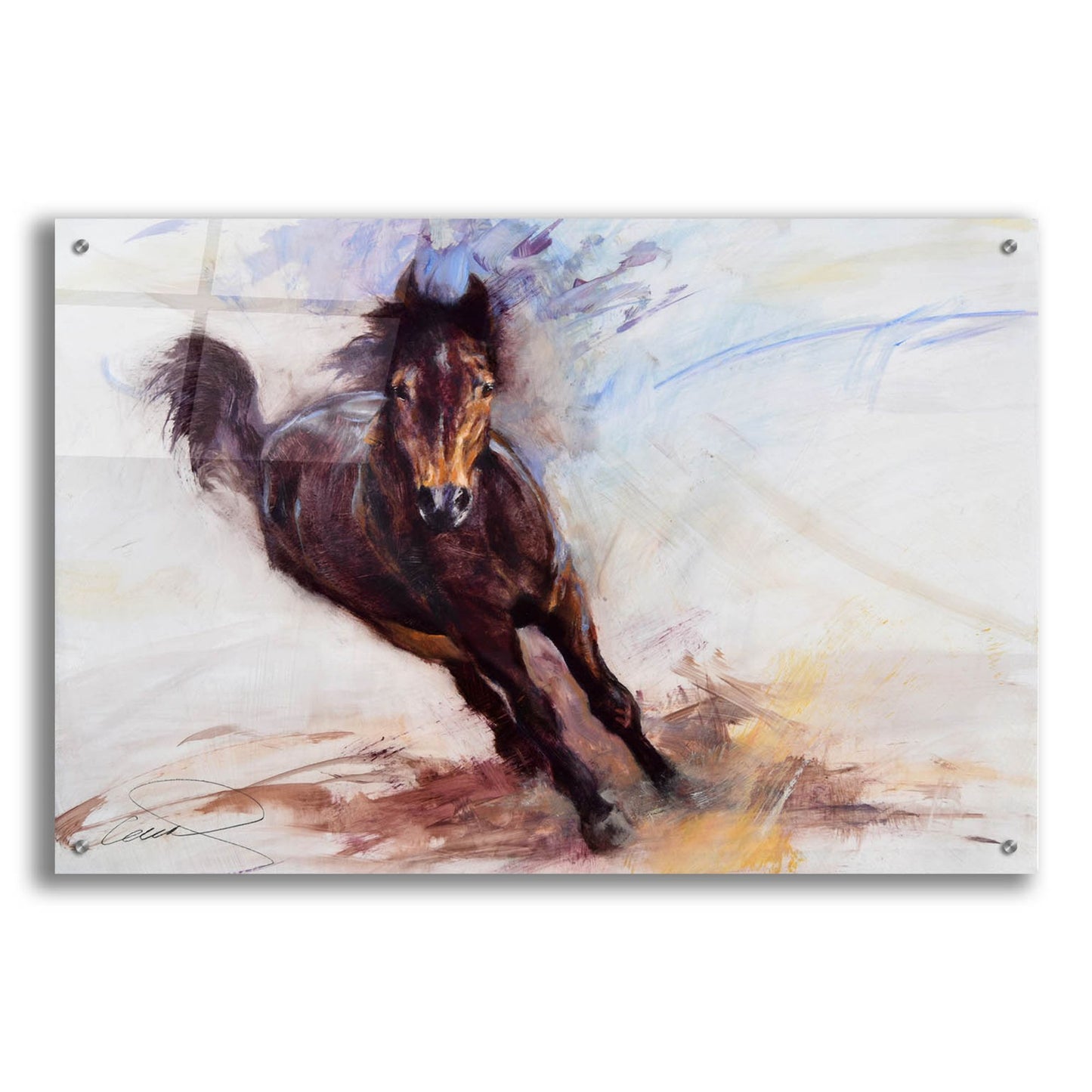 Epic Art 'Horse Having Fun' by Robert Campbell, Acrylic Glass Wall Art