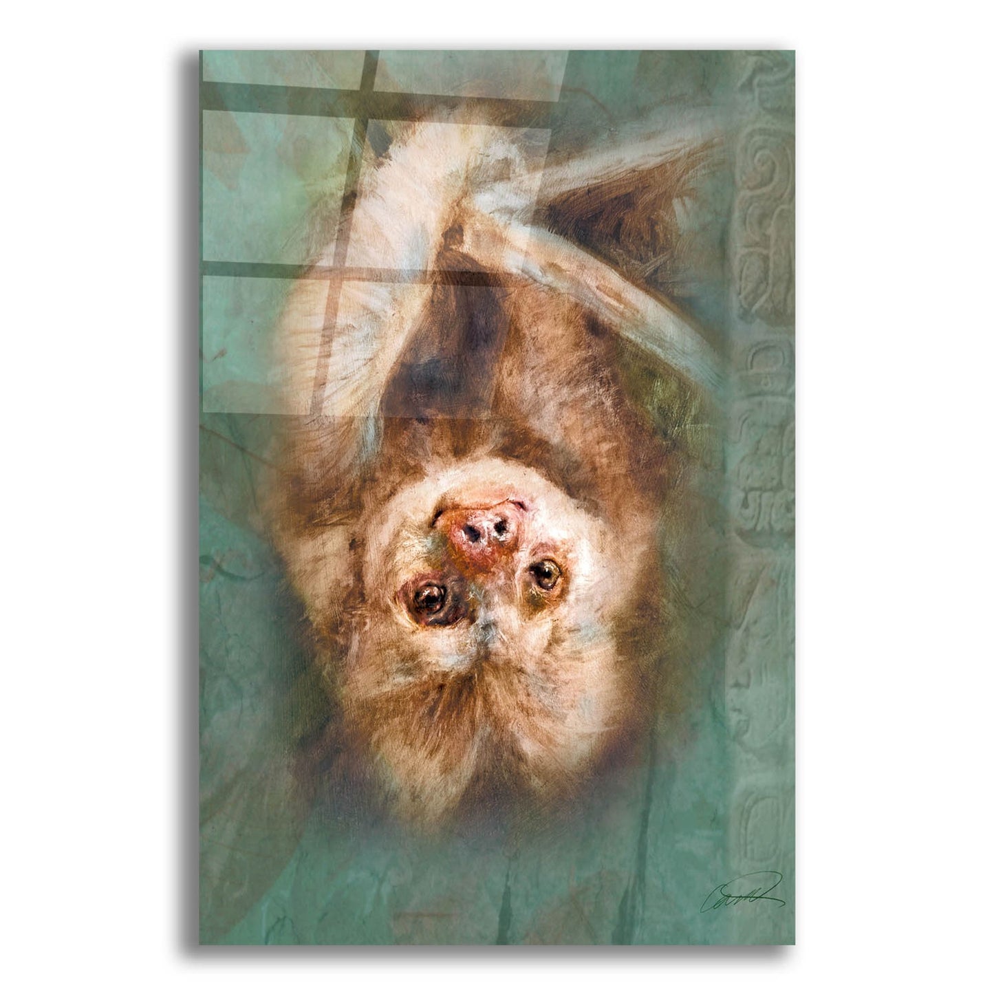 Epic Art 'Two-Toed Sloth' by Robert Campbell, Acrylic Glass Wall Art