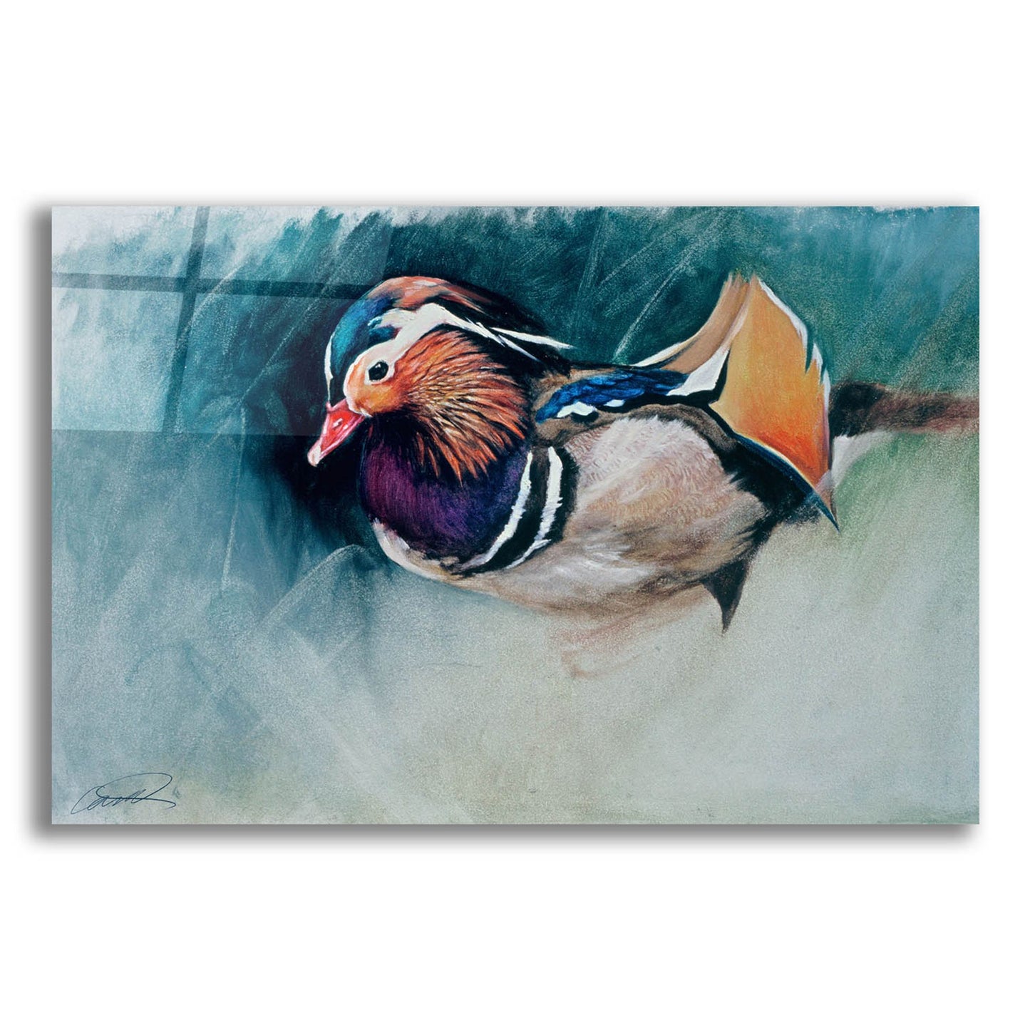 Epic Art 'Mandarin Duck Soup' by Robert Campbell, Acrylic Glass Wall Art