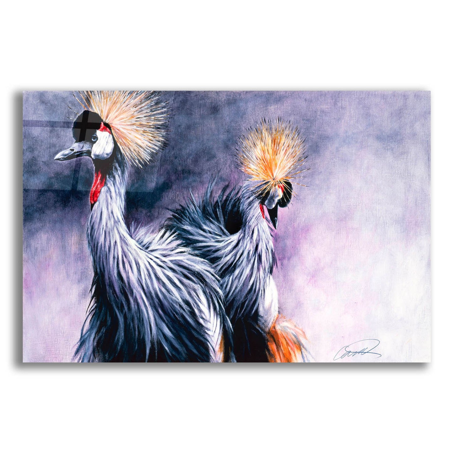 Epic Art 'Crowned Cranes' by Robert Campbell, Acrylic Glass Wall Art