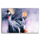 Epic Art 'Crowned Cranes' by Robert Campbell, Acrylic Glass Wall Art