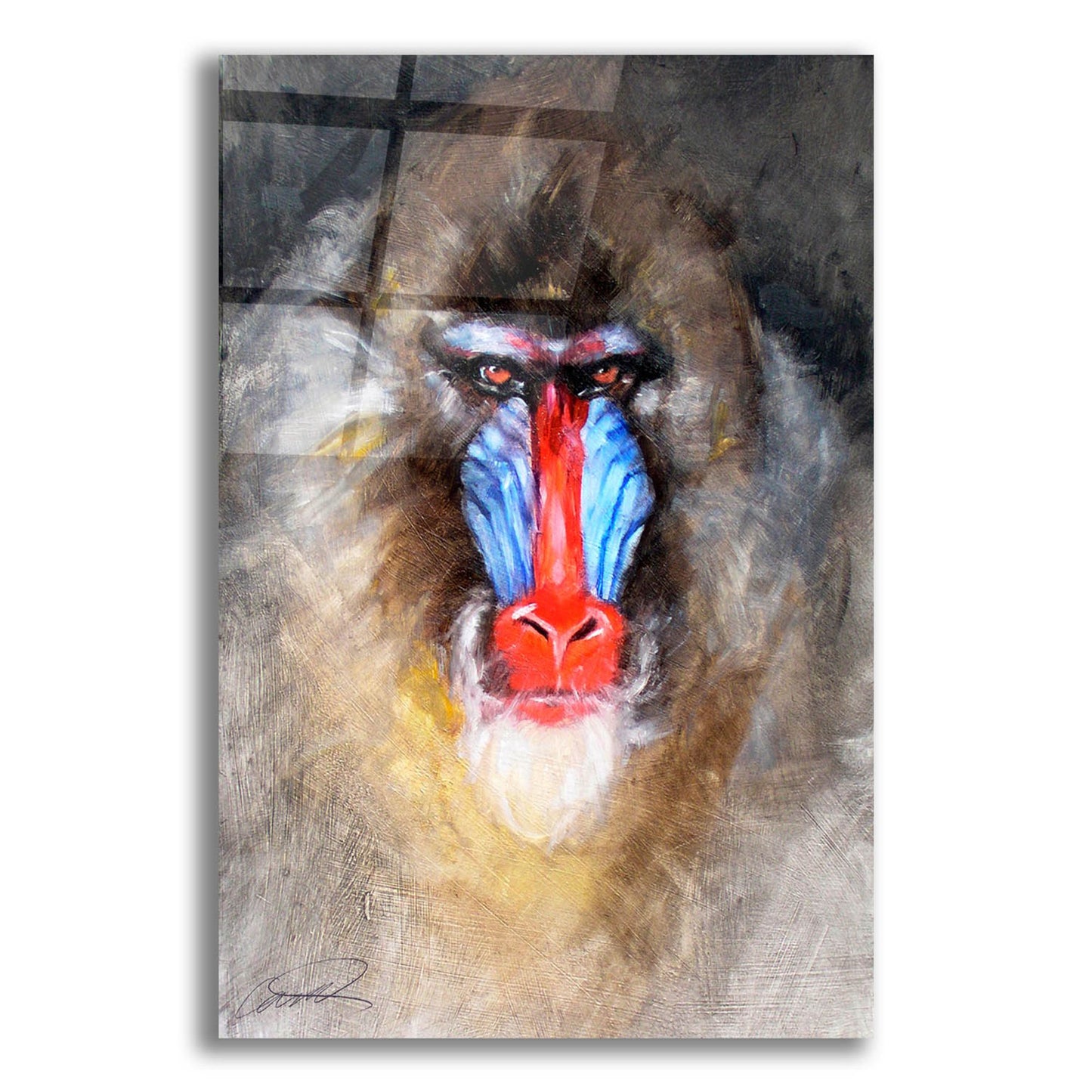 Epic Art 'Blushing Mandrill' by Robert Campbell, Acrylic Glass Wall Art