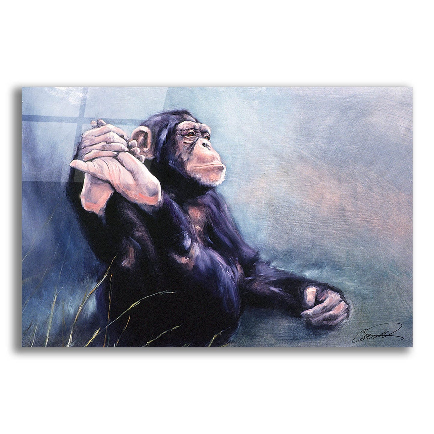 Epic Art 'C'est la Vie Chimp' by Robert Campbell, Acrylic Glass Wall Art