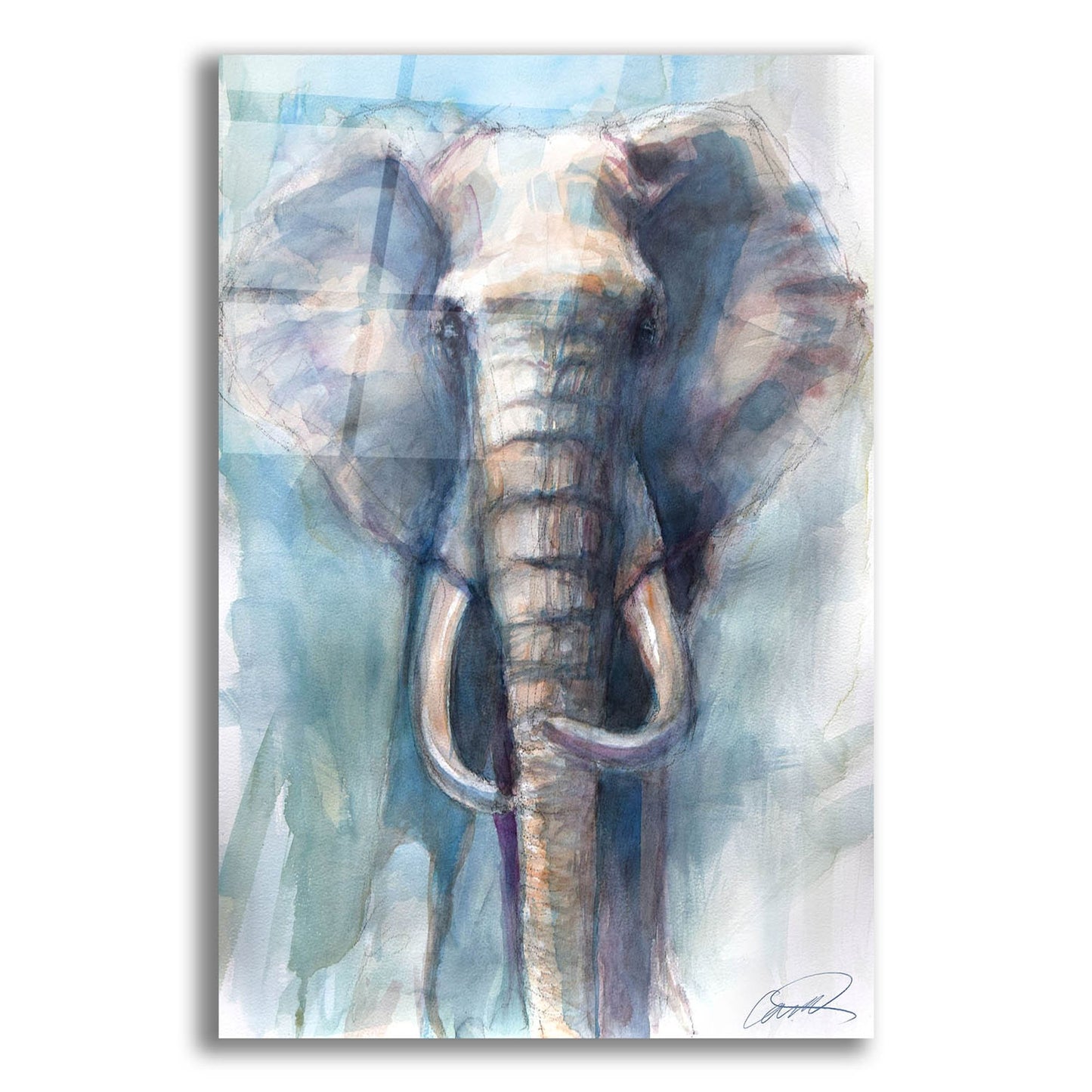 Epic Art 'Gentle Giant Elephant' by Robert Campbell, Acrylic Glass Wall Art