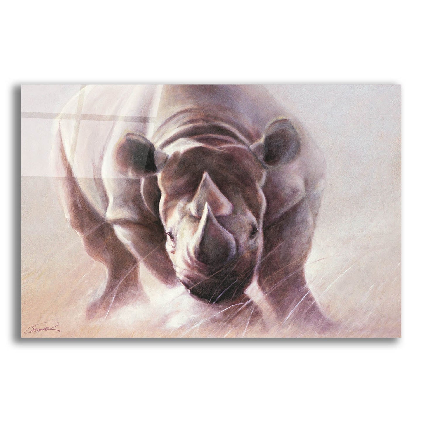 Epic Art 'Full Speed Ahead Rhino' by Robert Campbell, Acrylic Glass Wall Art