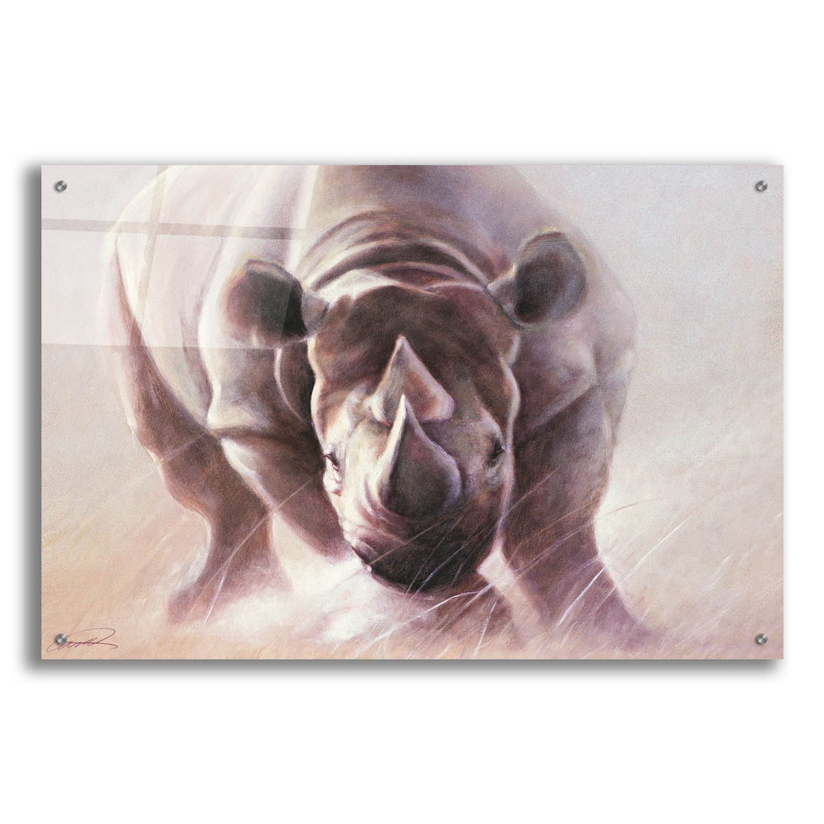 Epic Art 'Full Speed Ahead Rhino' by Robert Campbell, Acrylic Glass Wall Art